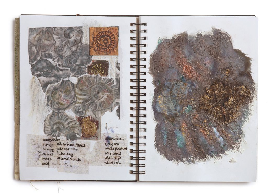 Sketchbook piece a study of fossils by Maggie Grey