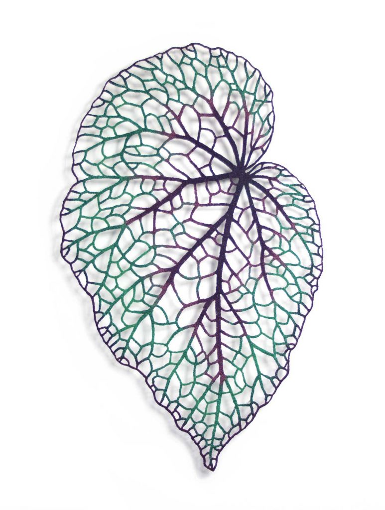 Begonia Leaf