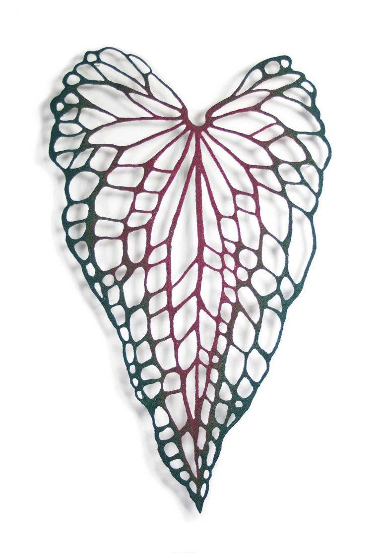 Caladium, Meredith Woolnough