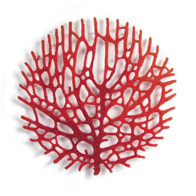 Coral Fan Circle (2016) by Meredith Woolnough