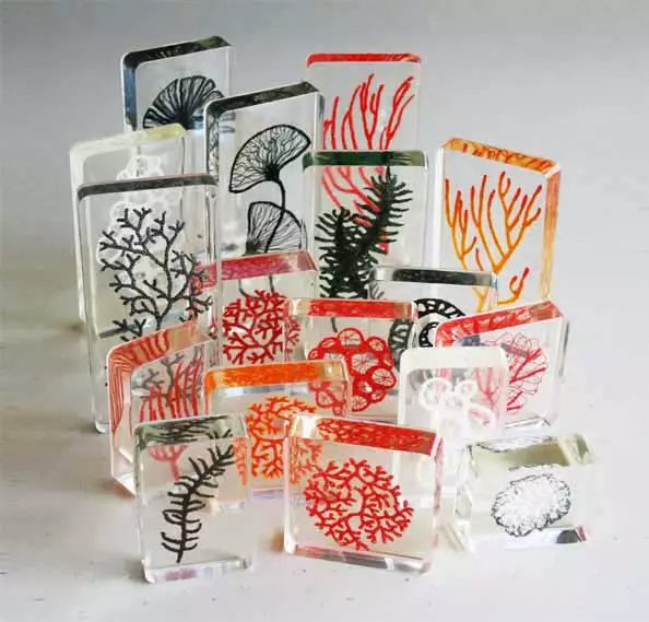 Clear Resin Collection