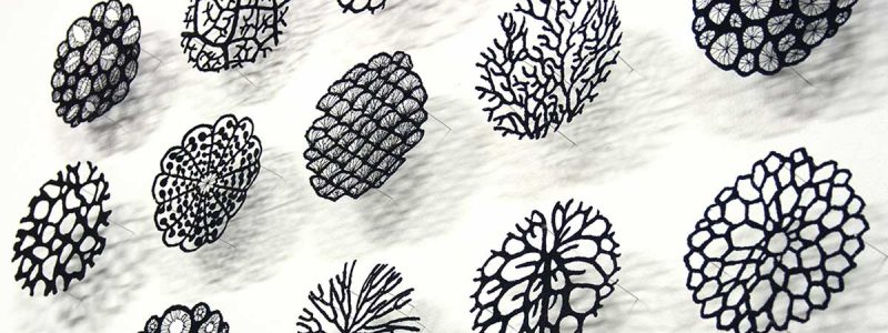 Meredith Woolnough: A Natural Talent