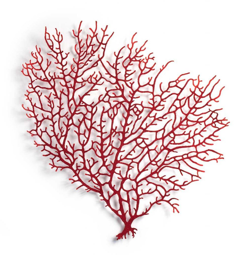 Red Coral Branch