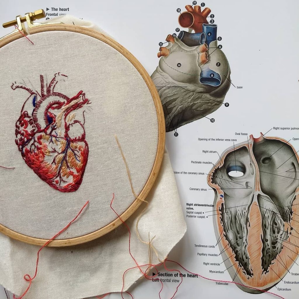Embroidered anatomy by Julie Campbell