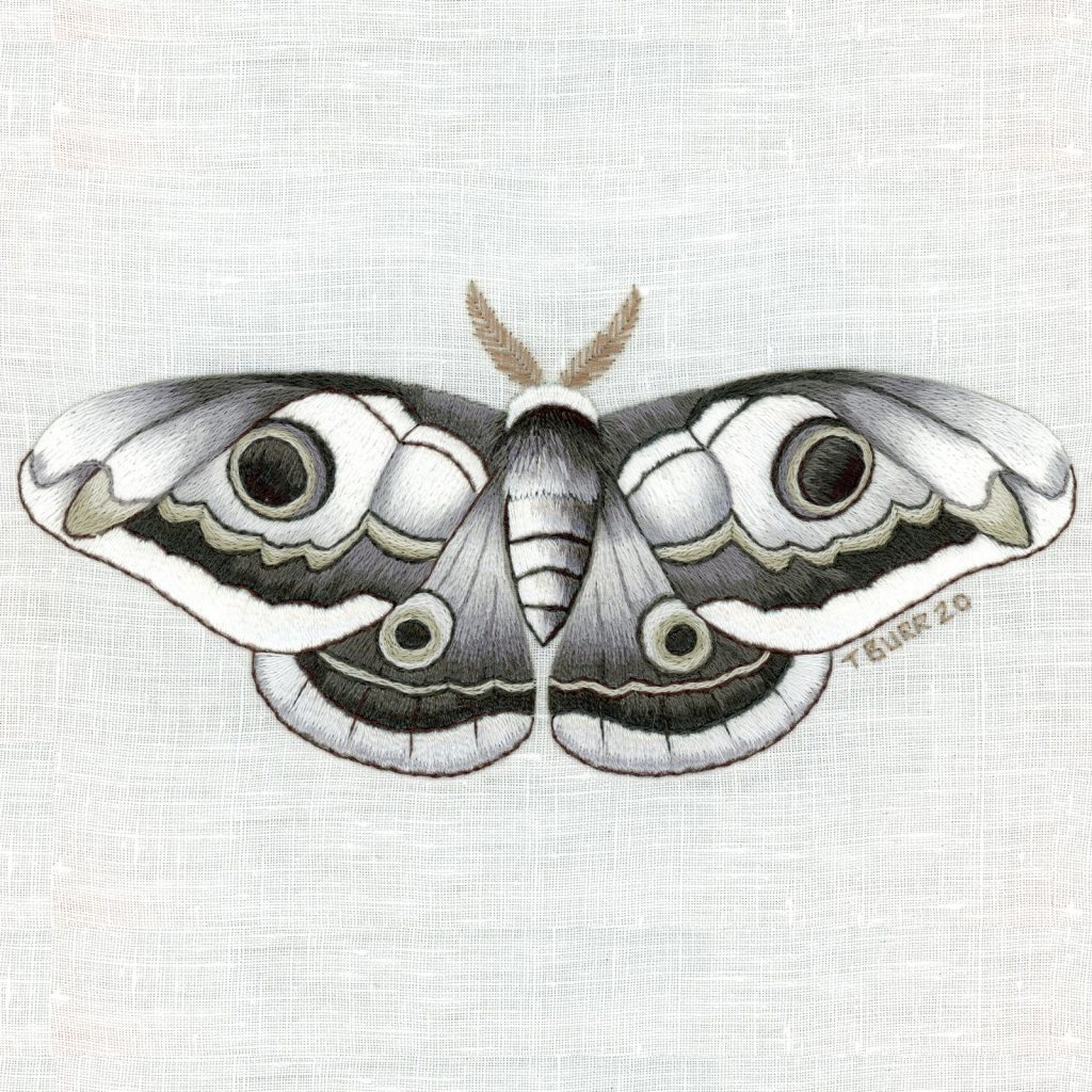 Moth, embroidered by Trish Burr