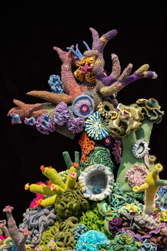 The Crochet Coral Reef Project created by the Wertheim sisters who are textile artists inspired by the Ocean.