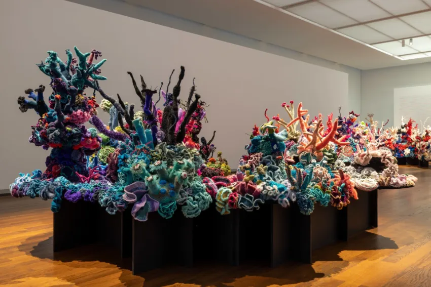 The Crochet Coral Reef Project created by the Wertheim sisters who are textile artists inspired by the Ocean.