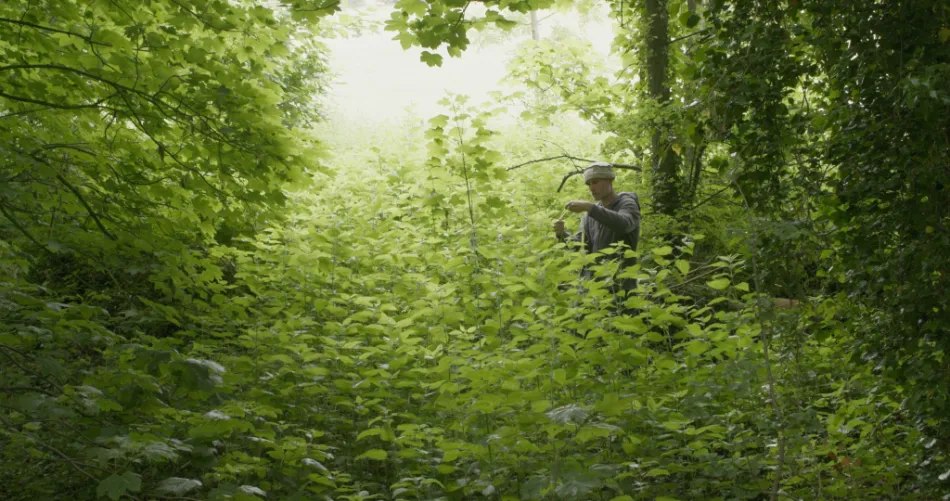 Allan Brown collecting nettles during the making of The Nettle Dress