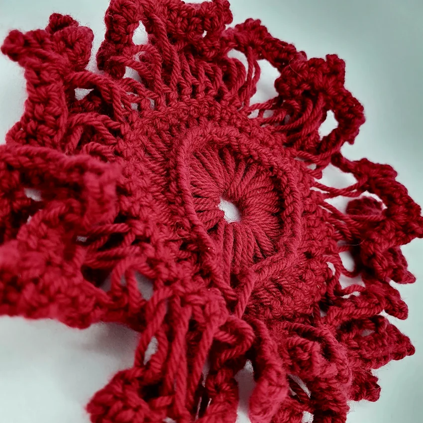 Crochet art work by Judy Sendrove