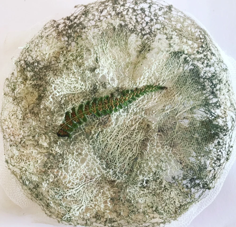 Foraged lichen & vermicelli stitching with fern leaf. 2019.