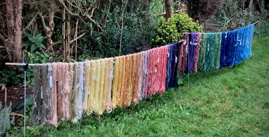 An array of beautifully coloured hand dyed yarns drying on a washing line