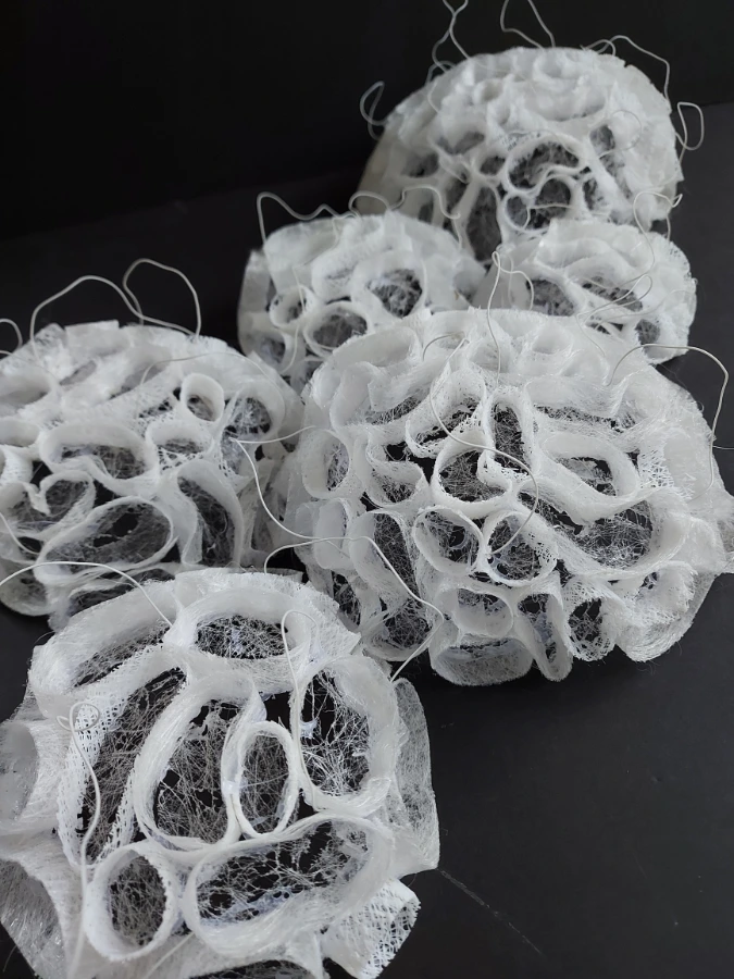 3D Coral sculpture