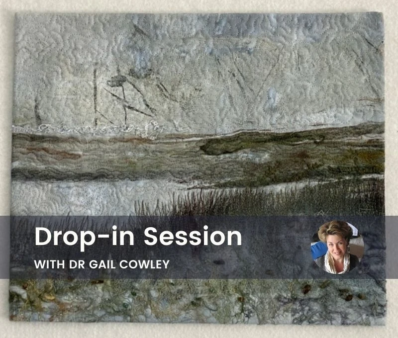 Master practitioner online drop-in session with Dr Gail Cowley