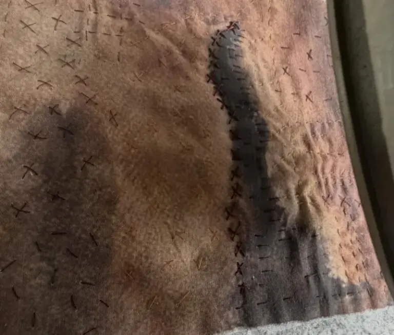 Master Embroidery couse by Lorraine Duff