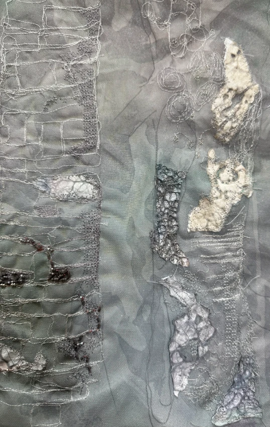 Layered mixed media textile panel with organic cellular texture and free-motion machine stitch, by SST graduate Cheryl McNay