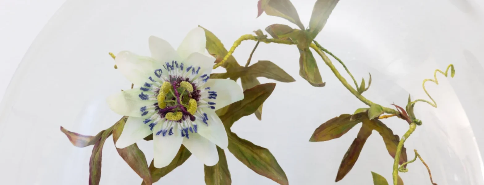 Textile Talk with Emma Rosa