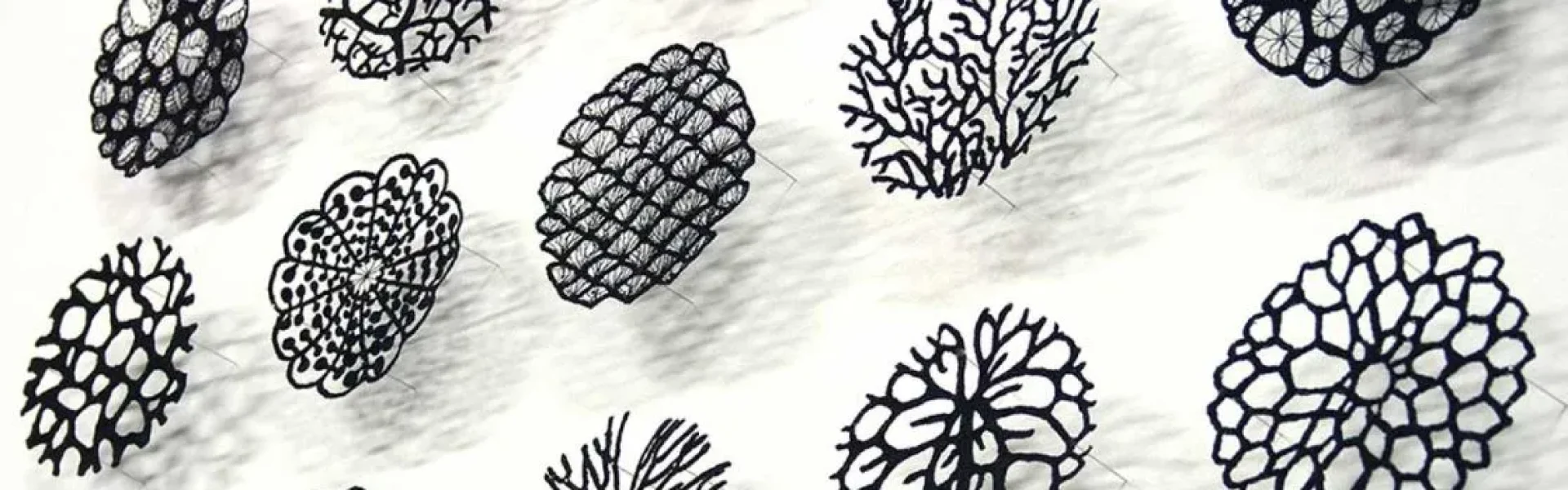 Meredith Woolnough interview with the School of Stitched Textiles