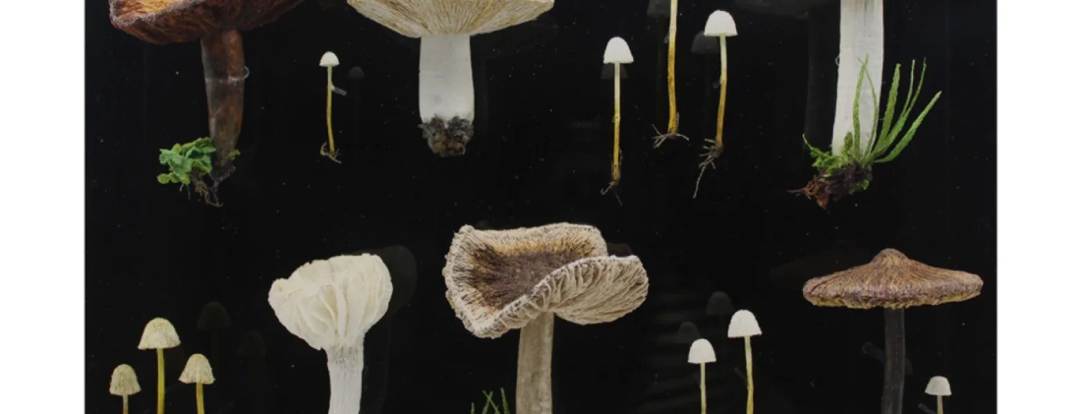 textile-artwork-by-amanda-cobbett (5)